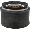 Baldwin PA4733 Air Element with Foam Wrap Filter | RICO Europe
