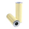 SF HY15534 Hydraulic Filter | RICO Europe