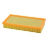 SF PA7589 Air Filter | RICO Europe