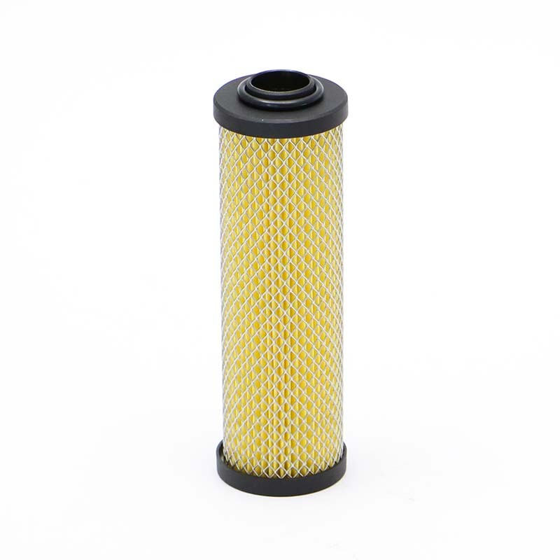 SF SDL36002 compressed air Filter | RICO Europe