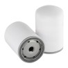 SF SK36007 Fuel Filter | RICO Europe