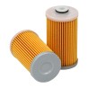 SF SK3613 Fuel Filter | RICO Europe