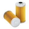 SF SK3679 Fuel Filter | RICO Europe