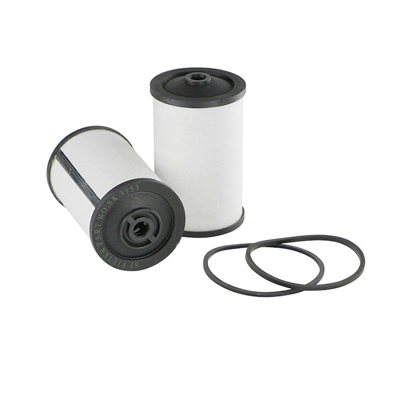 SF SK3953 Fuel Filter | RICO Europe