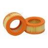 SF SL5529 Air Filter | RICO Europe