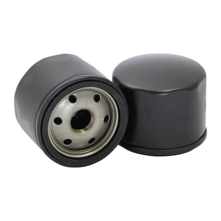 SF SP4456 Oil Filter | RICO Europe