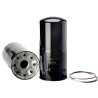 SF SPH20123 Hydraulic Filter | RICO Europe