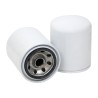 SF SPH9676 Hydraulic Filter | RICO Europe