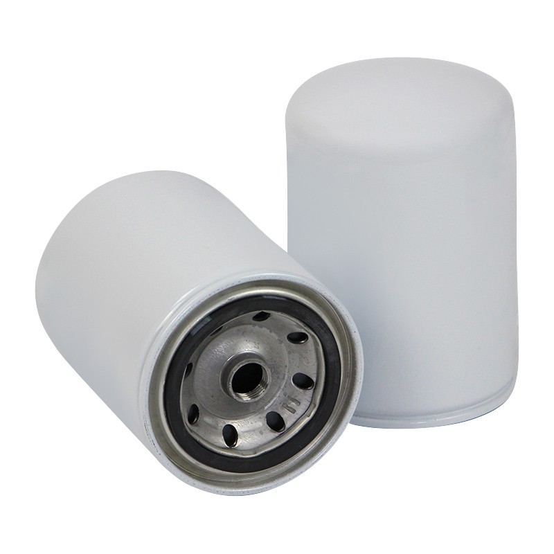 SF SW1611 Water Filter | RICO Europe