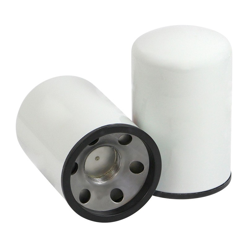 SF SW1638 Water Filter | RICO Europe