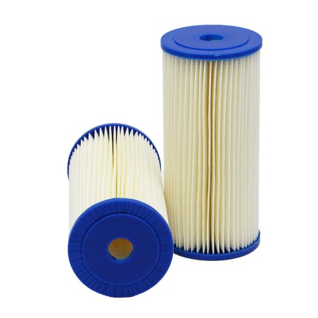 SF SW41058 Water Filter | RICO Europe