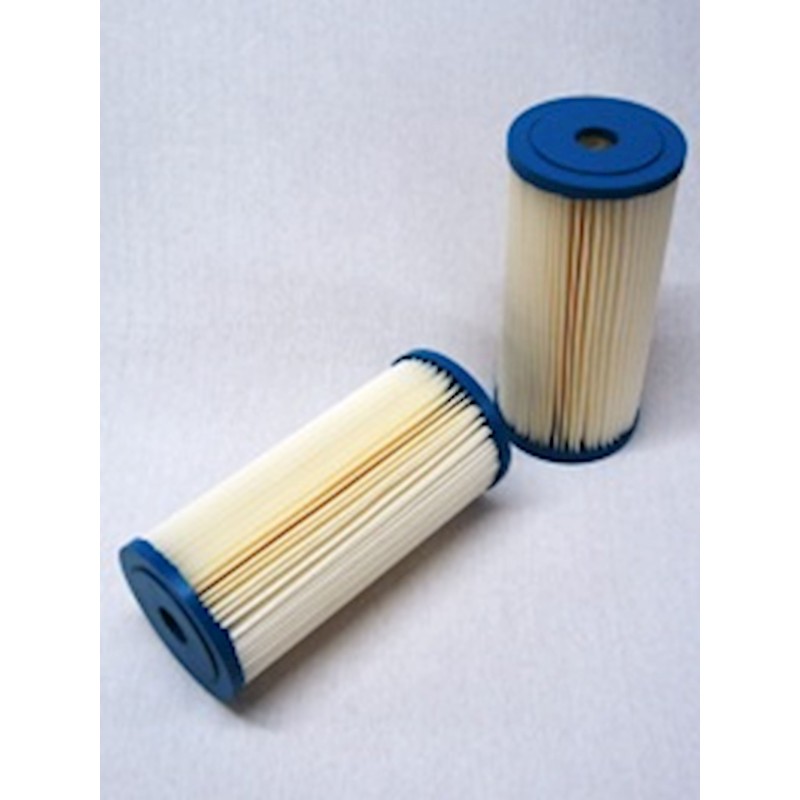 SF SW41059 Water Filter | RICO Europe