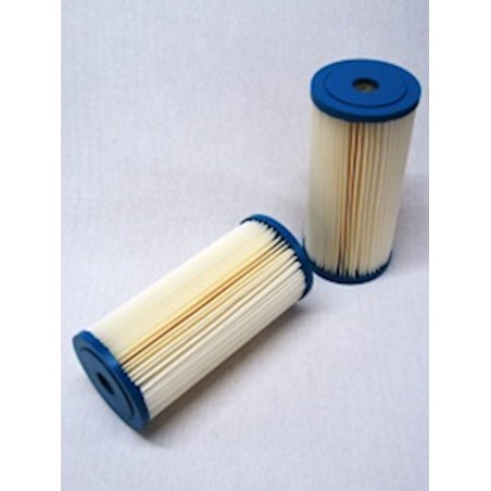 SF SW41059 Water Filter | RICO Europe