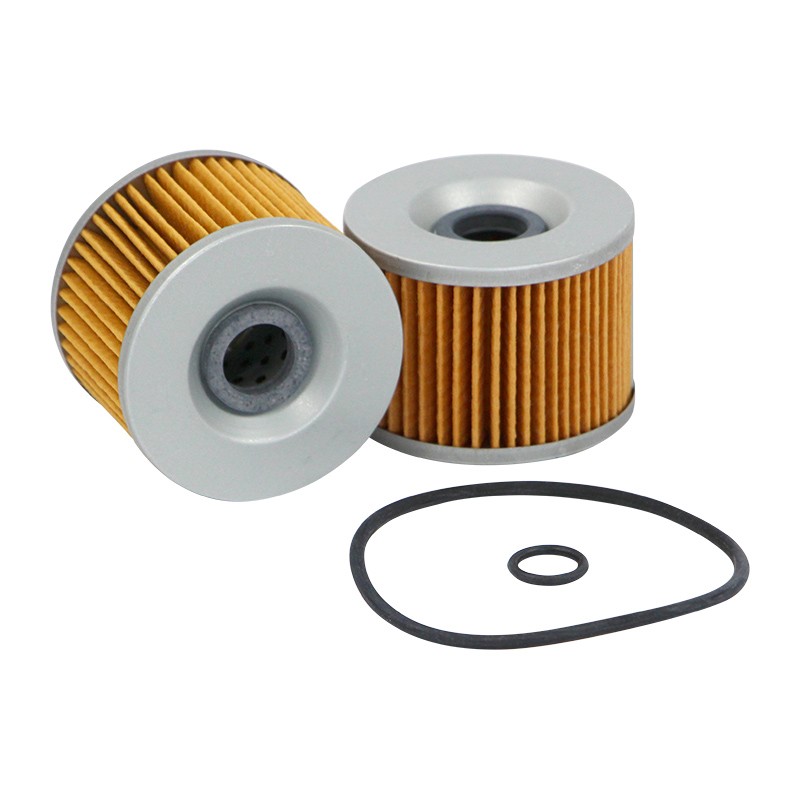 SF TO1001 Oil Filter | RICO Europe