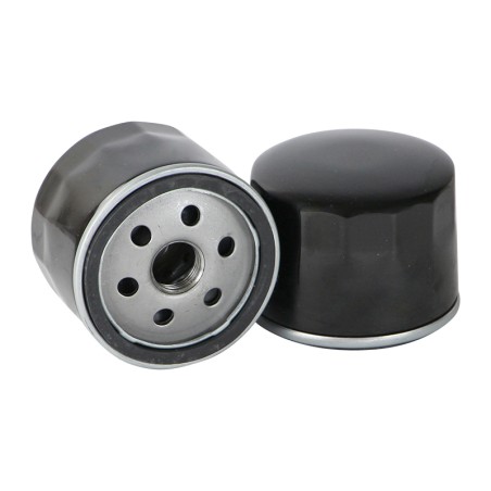 SF TO1021 Oil Filter | RICO Europe