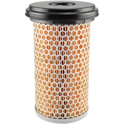 Baldwin PA3758, Air Filter Element with Lid