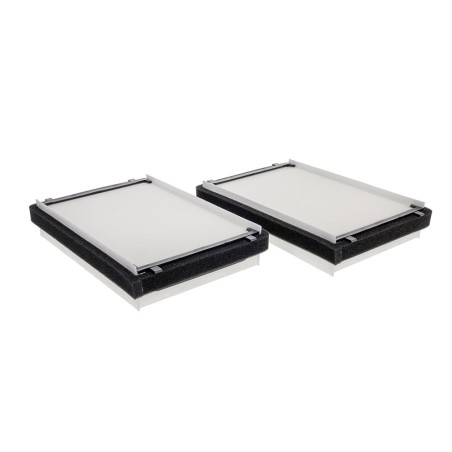 PA30117 Set of 2 Cab Air Elements