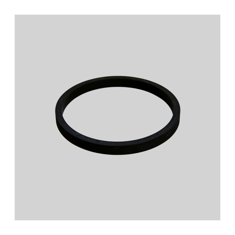Donaldson P169982 GASKET
