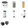 Thwaites Mach 201 Mini Dumper Filter Service Kit