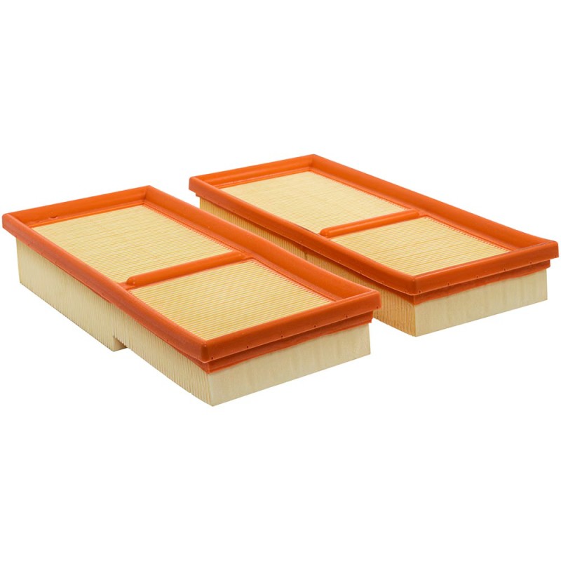Baldwin PA10293, Set of 2 Panel Air Elements