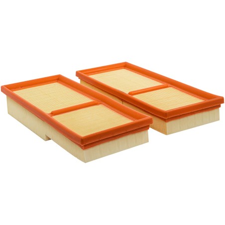 Baldwin PA10293, Set of 2 Panel Air Elements