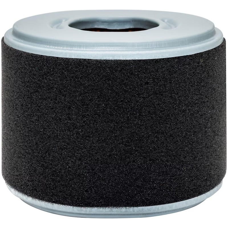 Baldwin PA4552 Oval Air Element with Foam Wrap Filter