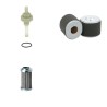 CTE CS 135/1 Filter Service Kit w/HONDA  Eng.