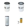 FSI C 50 HPMF Filter Service Kit w/Lombardini Eng.