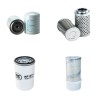 HIMOINSA HYW 30 TS Filter Service Kit w/IVECO  Eng.
