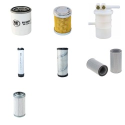 Hyundai R25Z-9 Filter Service Kit with Mitsubishi S3L2