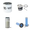 LAMBORGHINI 235 Filter Service Kit