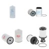 LIEBHERR D 934 SA6 Filter Service Kit