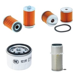 LOMBARDINI 7LD665 (C/F) Filter Service Kit