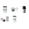 MANITOU 4 RM 26 Filter Service Kit w/Perkins  Eng.
