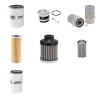 MANITOU MT 425 CP T Filter Service Kit