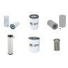 BITELLI SF 100 T 4 GP Filter Service Kit withDeutz Bf6L913Ct Eng