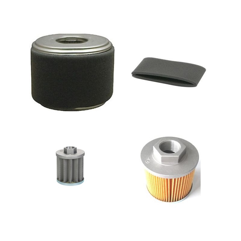 Filter kit for Merlo CONGO M6 with Honda GX270 Engine