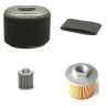 Filter kit for Merlo CONGO M6 with Honda GX270 Engine