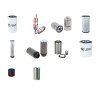 Filter kit for Merlo ROTO 40.25MCSS with Iveco F4G00684GD Engine