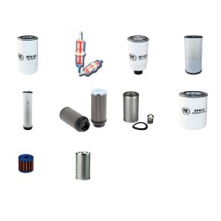 Merlo ROTO 40.26MCSS Filter Service Kit with Iveco N67MNT