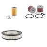 NISSAN FD 007 Filter Service Kit w/SD 33  Eng.