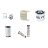 WEIDEMANN 1015 D/P Filter Service Kit w/Perkins Eng.