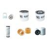 DEMAG C20P Filter Service Kit with  Perkins Engine