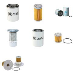 Hitachi EX12 Filter Service Kit
