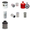MANITOU ML 425 (FC) Filter Service Kit