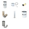 Filter kit for Merlo P38.13 with Perkins Engine