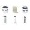 WEIDEMANN 1090 D/P Filter Service Kit w/Perkins Eng.