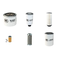 AEBI TP 98 Filter Service Kit withVm D704Lt Eng
