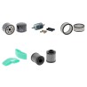BRIELMAIER HP 27 Filter Service Kit w/KOHLER Eng.