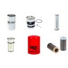 MASSEY FERGUSON MF 355 Filter Service Kit